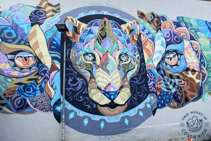 Jaco Street Art Tour
