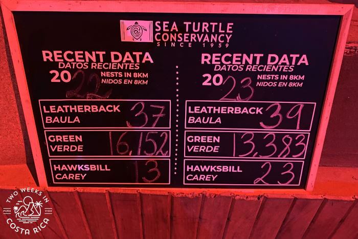 Data Sea Turtle Conservancy