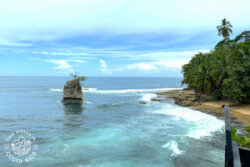 View of a tropical coastline with a small island offshore