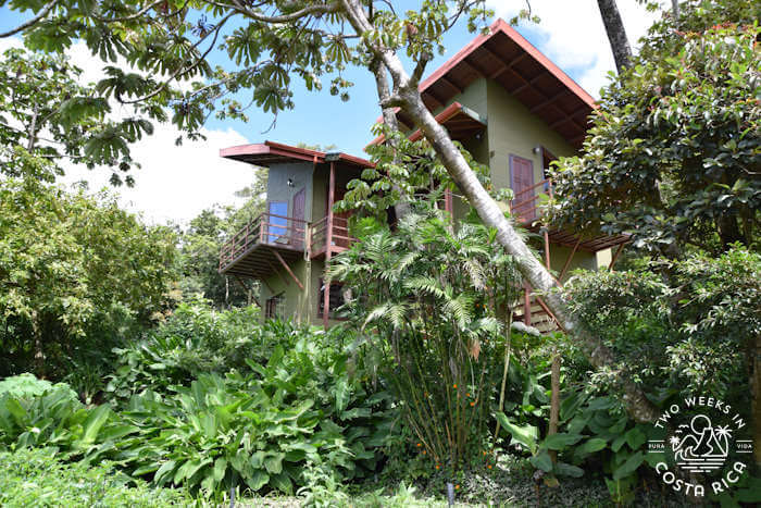 Cala Lodge Hotel Monteverde