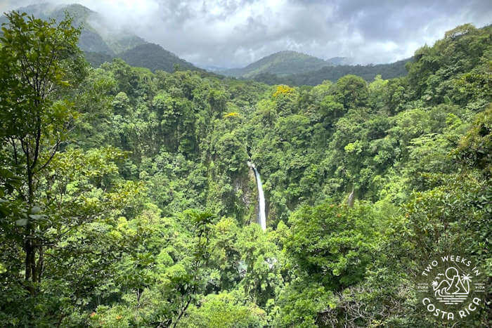 Green jungle La Fortuna Waterfall