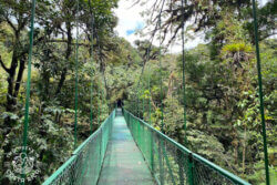 Monteverde