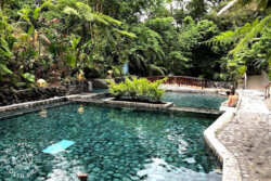 Relaxing hot springs pools Ecotermales
