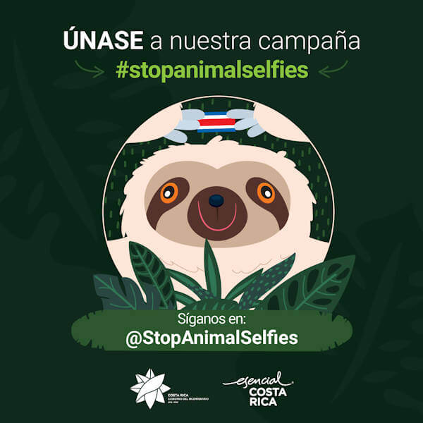 Stop Animal Selfies Campaign