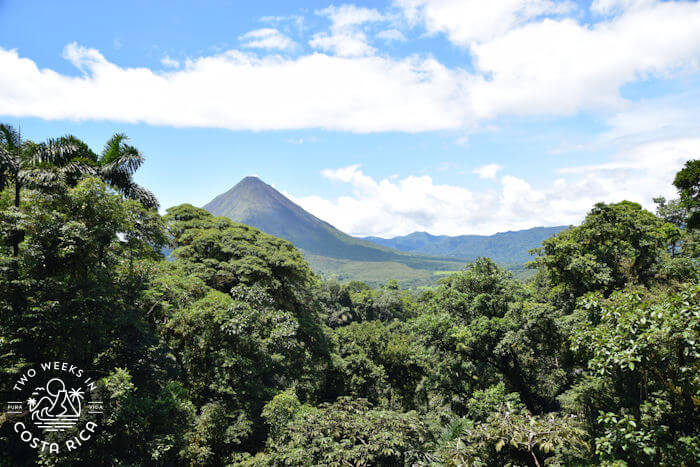 Thick rainforest Arenal Volcano