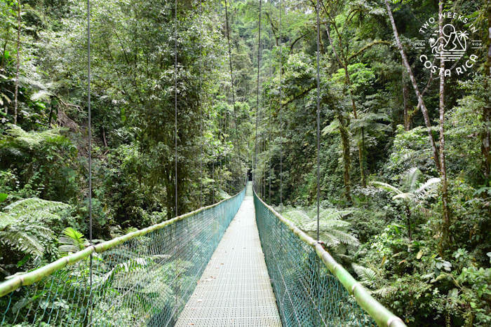 Sky Adventures Hanging Bridge