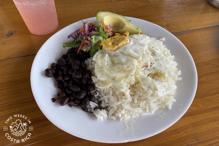 Vegetarian casado