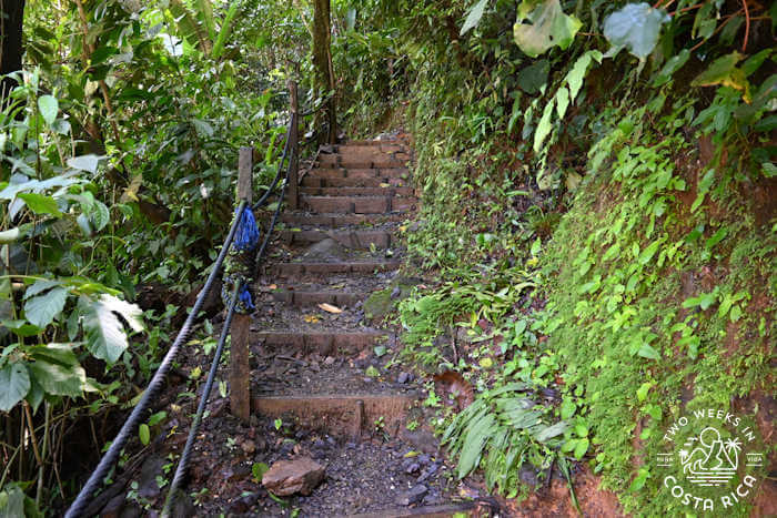 Stairs to Waterfall