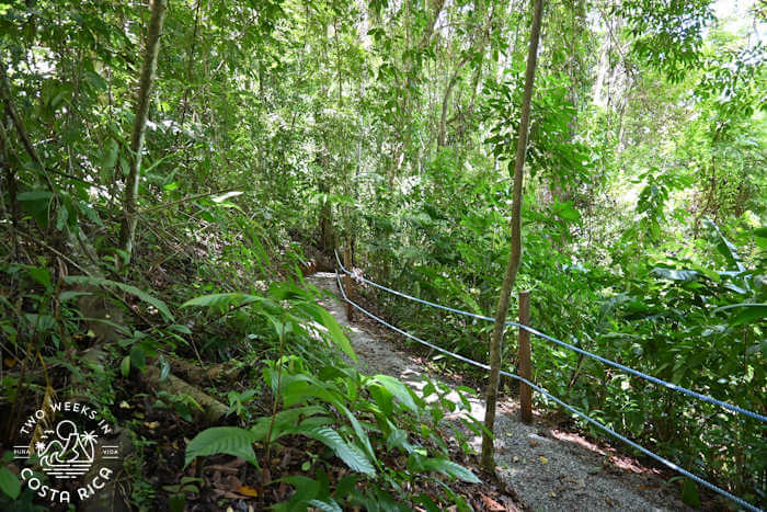 Trail Nauyaca Park