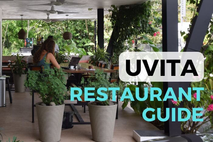 Best Restaurants Uvita