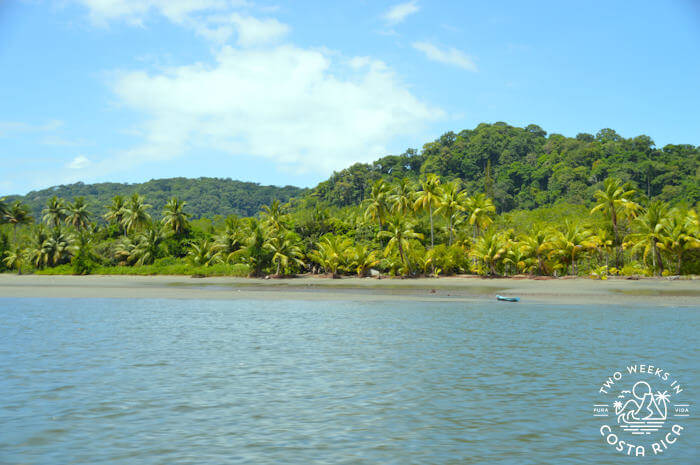 View Drake Bay from Boat