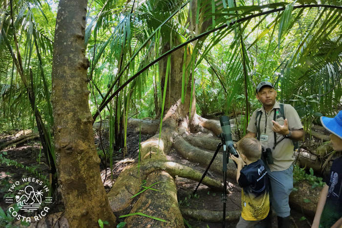 Guide talking in front of a tree