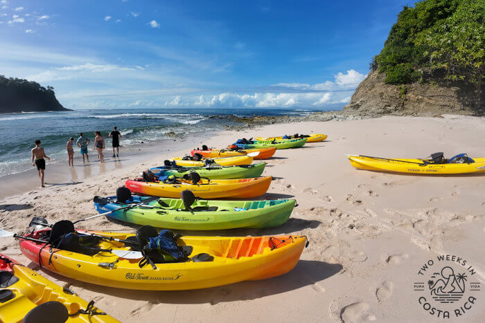 Kayaks lined up on beach