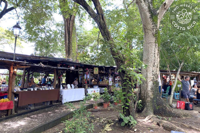 Vendors at Samara Farmers Market