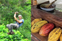 Zipline and Chocolate Tour Jaco