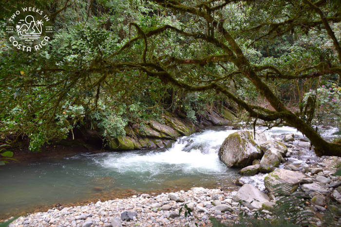 Savegre River San Gerardo