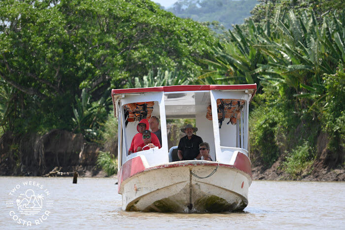 Crocodile Safari Boat Tour Jaco