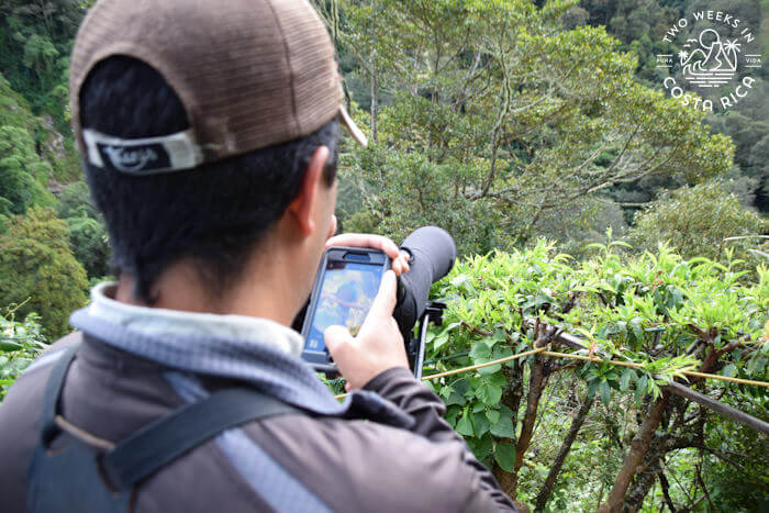 Birding guide with spotting scope